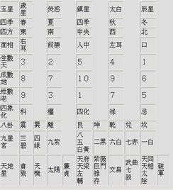 數字5行|數字五行屬性：必學知識